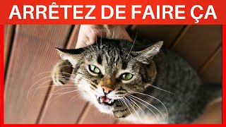 20 Choses que vous DEVEZ arrêter de faire à votre Chat !