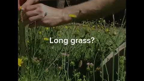 Robotic Law Mower Video