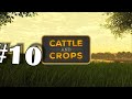 Cattle and Crops Test/Folge #10/ Was macht die BGA?