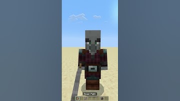 Huntllager Vs WARDEN, WITCH, PIGLIN, CREEPER, WITHER SKELETON