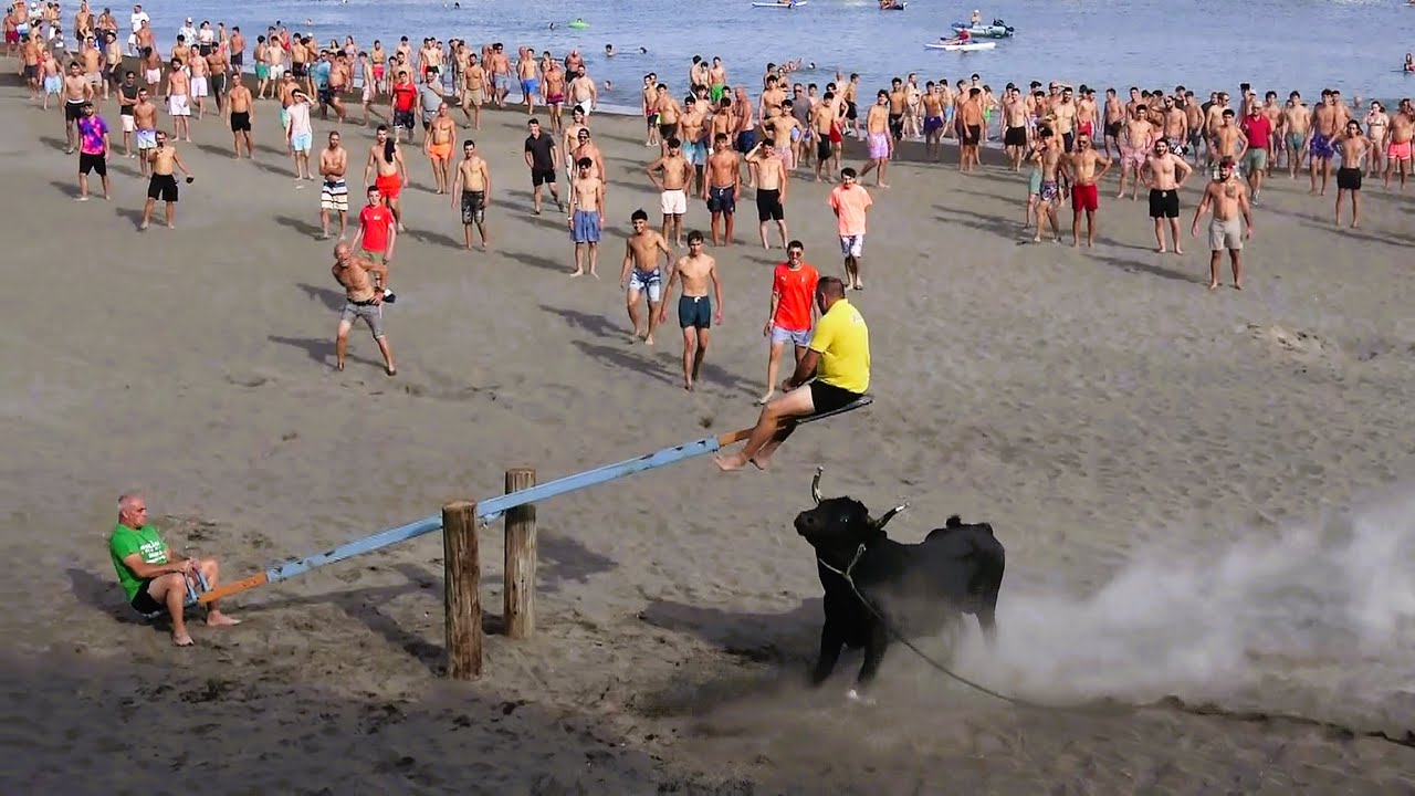 Areal Da Praia C/Touros De 4 Ganadarias (FP,AL,MR,OT) - 10/8/2025 - Ilha Terceira - Açores