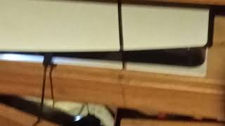 scratch Live Stream