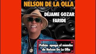 Nelson de la Olla Déjame Gozar Faride