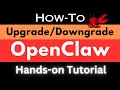 How to Update OpenClaw - Complete Upgrade/Downgrade Guide for Windows, Linux, Mac