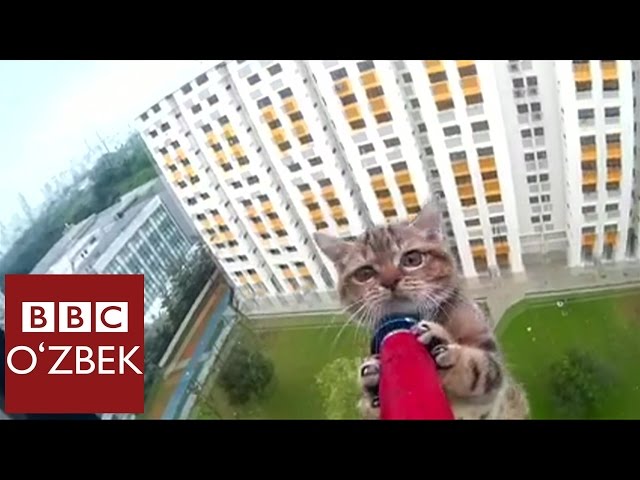 Porno bir odamni dosti uchun olib keldi