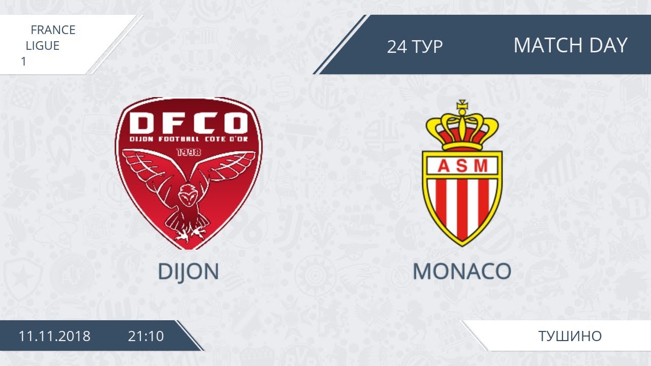 AFL18. France. Ligue 1. Day 24. Monaco - Dijon