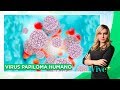 Virus Papiloma Humano (VPH): ¿Tiene cura? | Vive Más