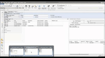SAP Business One Formatted Search
