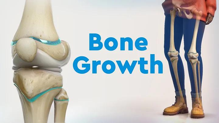 Bone Growth and Limb Deformities - DayDayNews