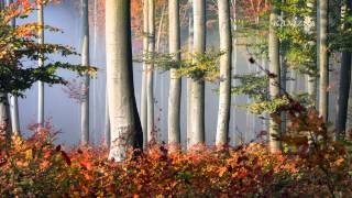 A Hevesi-Galéria 2014-Es Kiállításai