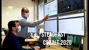 Steadfast Cobalt 2020 Engineer Profile