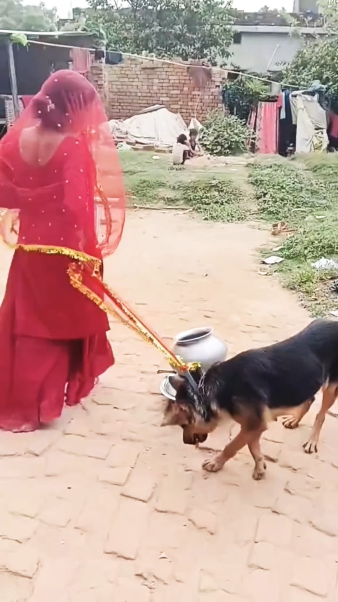 plz support me #viral #viralvideo #trending #trendingshorts