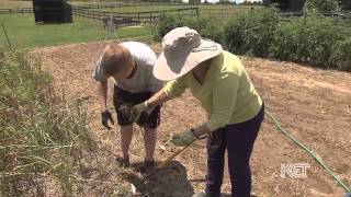 Hemmer Hill Farm | Kentucky Life | KET
