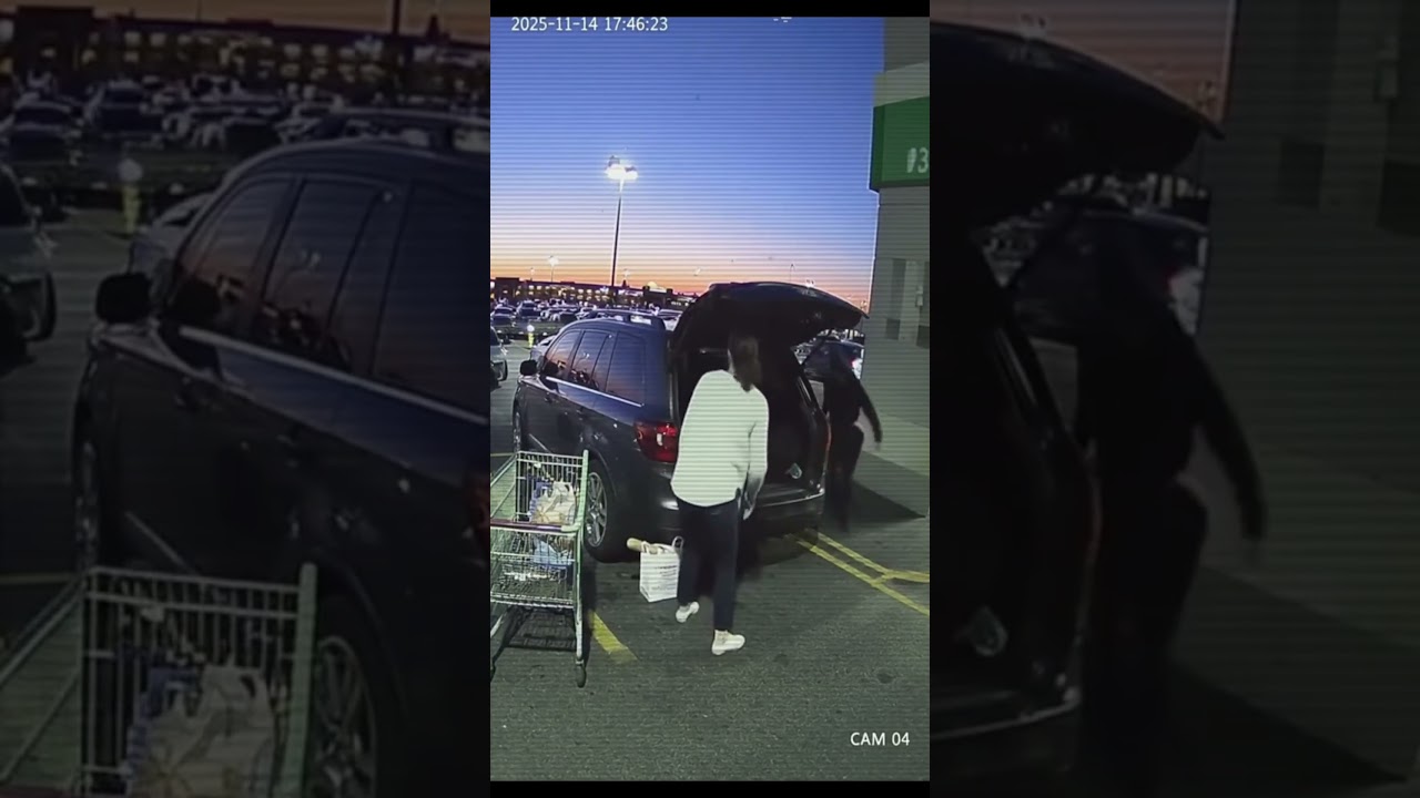 GONE IN SECONDS Thief Uses Pillar for Perfect Purse Snatch & Escape