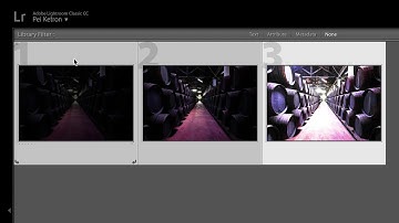 Control Exposure and Light in Lightroom Classic CC | Adobe Lightroom