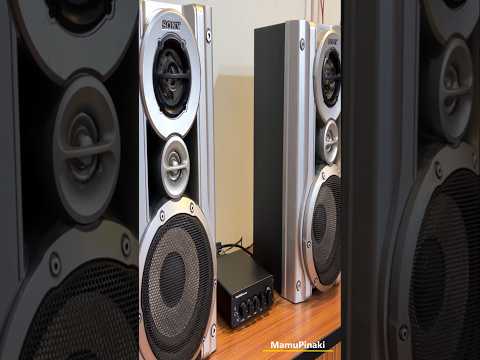 Sony Fosi Audio System #audio