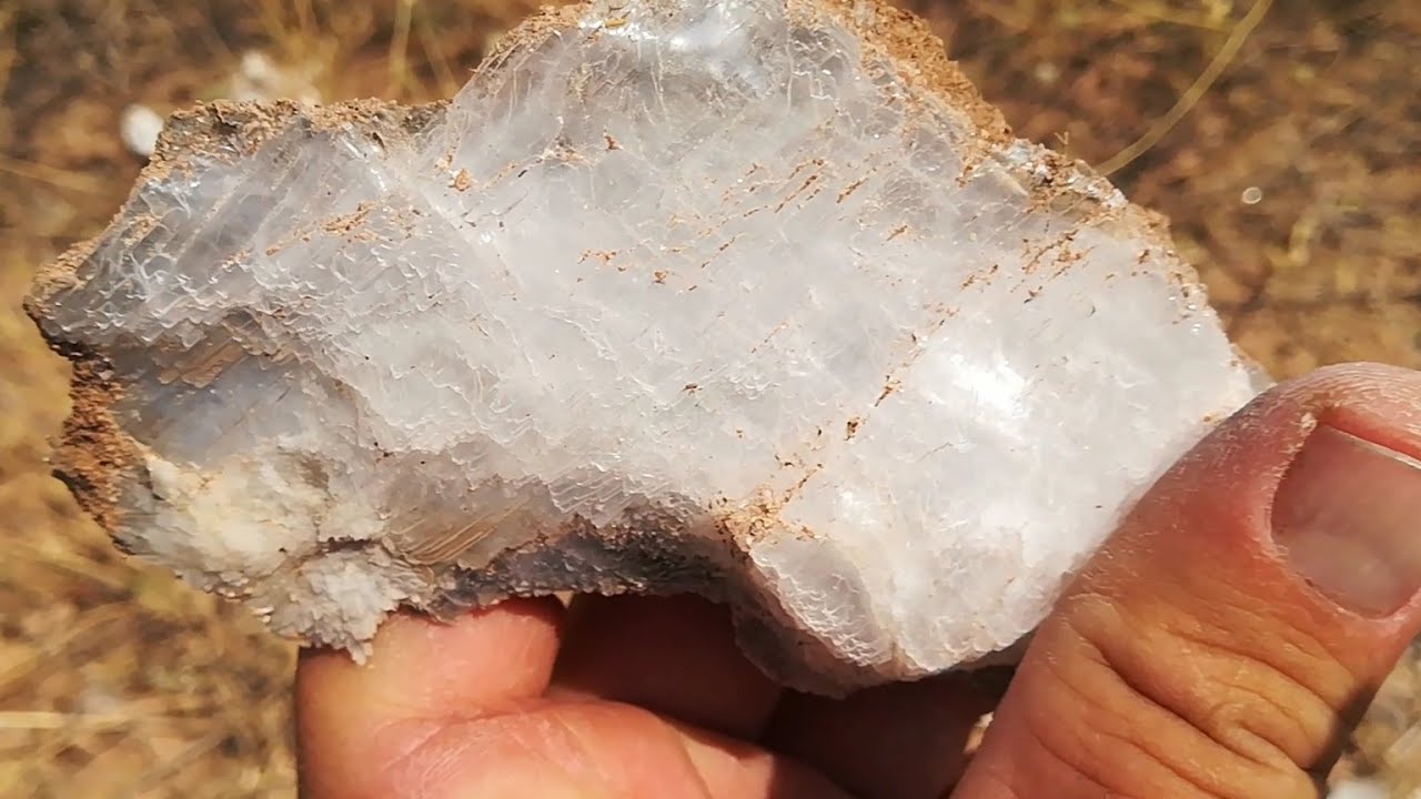 Milyon Dolarlık Rezervi Görünce....