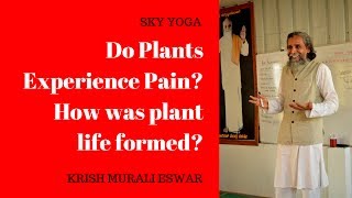 Do Plants Experience PainHow was plant life formed