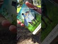 Tarot in the Trees No. 5 Pt. 2 - Knight of Swords + Hidden News: The Lovers (4/7/26)
