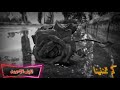 كم رغبنا كم حلمنا كم تمنينا وشاء الهوى نجومي