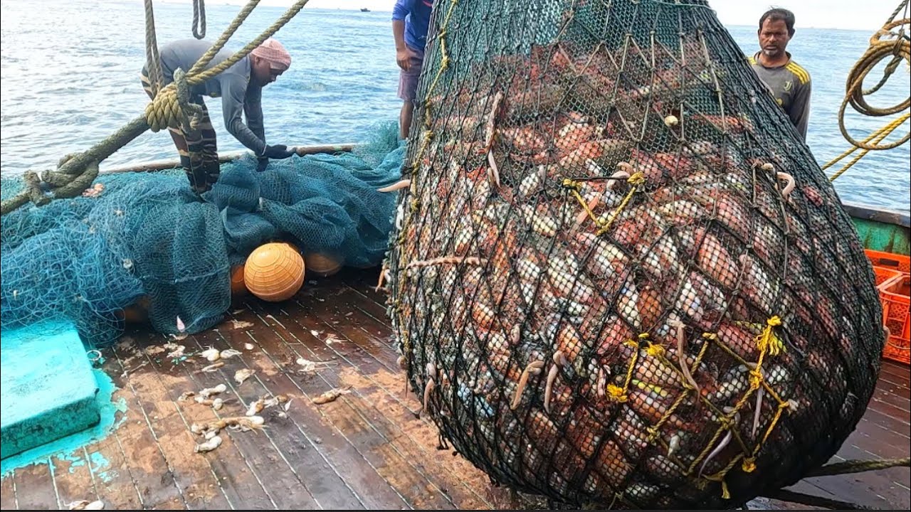 விசைபடகில் ஆறாவது நாளில் மீன்கள்  பிடிக்கும் நேரடிகாட்சி|6th Day Trawl Fishing in Kerala Boat