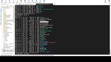 Cómo funciona un Cluster de ServiceGuard