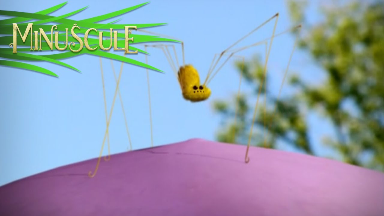 Minuscule - Zzzepelin (Season 1)