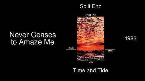 Split Enz - Never Ceases to Amaze Me - Time and Tide [1982]