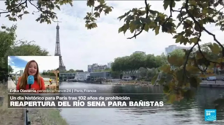 Informe desde París: darse un chapuzón en el río Sena ya es una realidad • FRANCE 24 Español