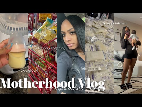 MOTHERHOOD VLOG Dr Appointments Grocery Shopping Bricking Bagging Milk Cleaning Liquid Gold