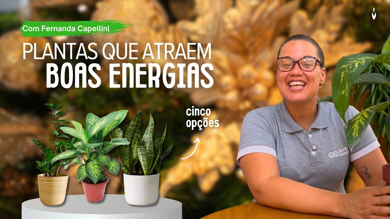 PLANTAS que atraem BOA ENERGIA e SORTE para começar 2025 | Fernanda Capellini