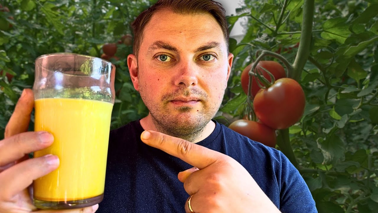 Не выбрасывайте больные растения! 🧡 Я их спас простым домашним средством!