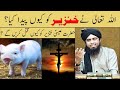 Allah Ny Khanzir (Pig) Ko Ku Peda Kia | Imam Mahdi Ka Zahoor | Hazrat Esa | Engr Muhammad Ali Mirza