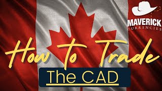 How to Trade CAD  CAD Correlations & Oil CAD Correlation
