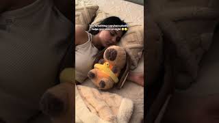 Comment CAPY if your daughter needs this! 🧡#capybara #breathingplush #calm #plushies #anxiety