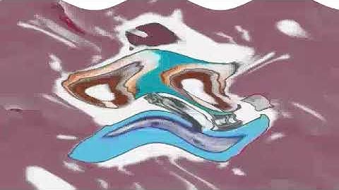 Klasky Csupo In Sailor Mercury Effect + Pitch White