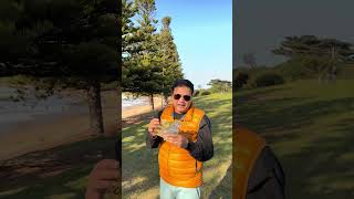🇦🇺 ऑस्ट्रेलिया में $100 = ₹7,000! 😲 लेकिन ऑस्ट्रेलिया आएं कैसे? #shortsfeed