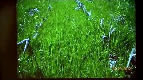 Dave Brandt - Soil Health