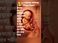 11 Weeks fetal development/ Baby Growth At 11 Weeks/ 11 Weeks Pregnancy #hypnobirthing #growingchild
