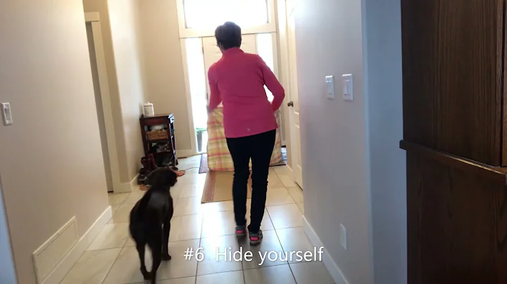 Heather Schneider and Gabby, Advanced MASTER trick...