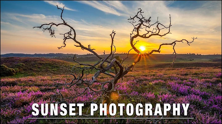 Sunset Photography – Perfect Exposures Every Time - DayDayNews