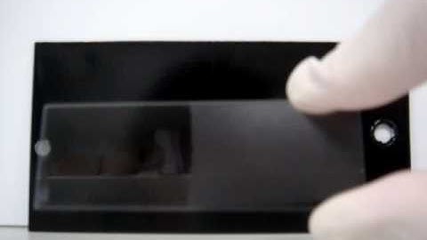 Instruction on how to half treat microscope slides - Anti-fog Demo - Video B2