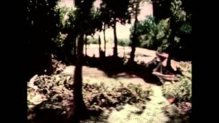 Julee Cruise - Falling (Found Footage Music Video)