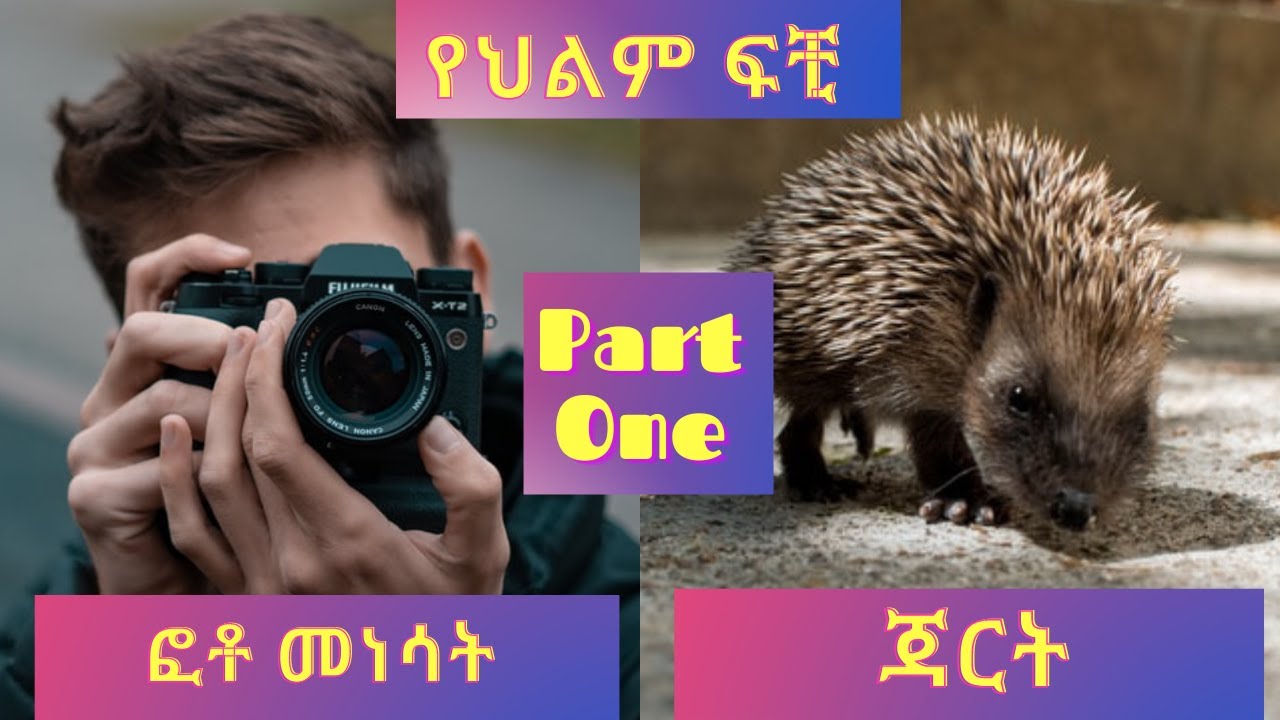 የህልም ፍቺ :- ፎቶ መነሳት / ጃርት Part One - YouTube