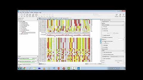 Multiple Sequence Alignment using CLC viewer Tool Tutorials