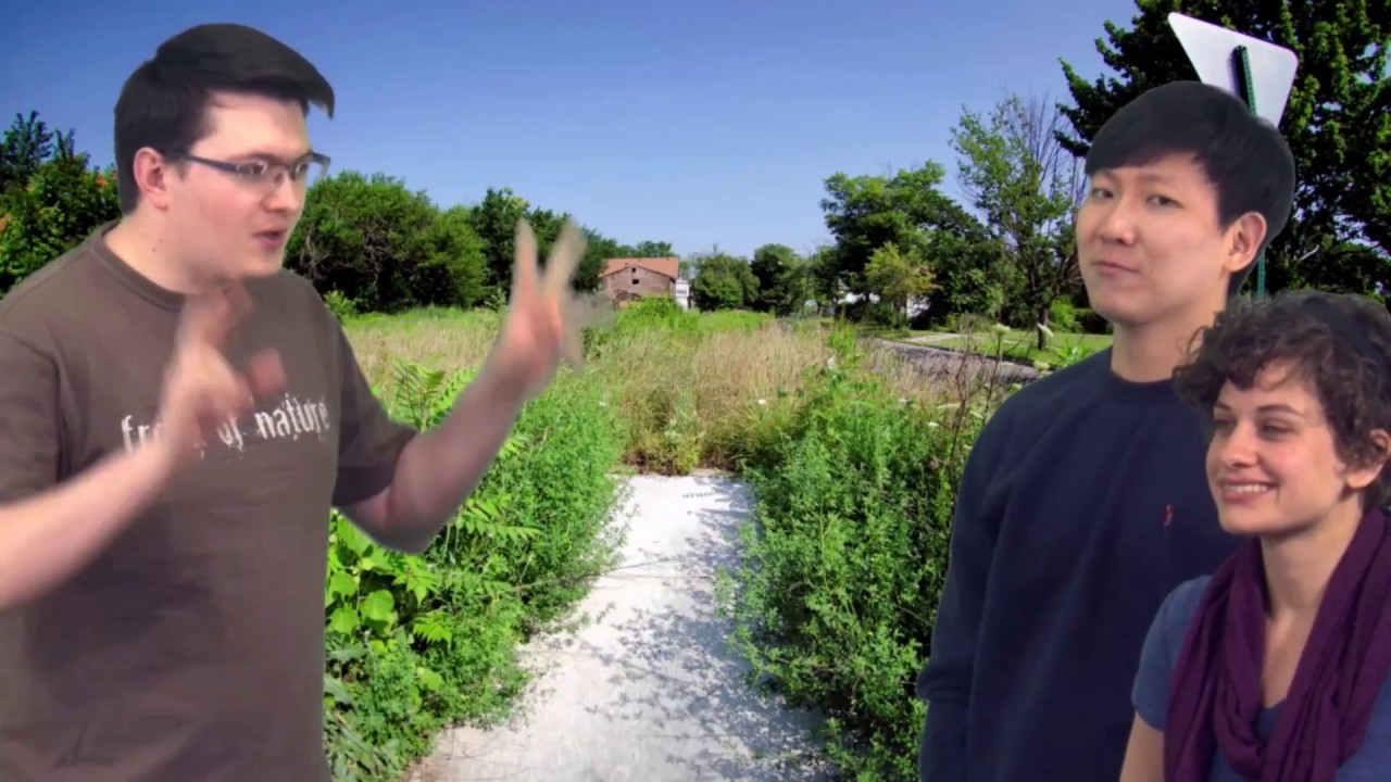 Lots, and Trees, and Bioswales... Oh My Ecosystem Services!