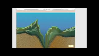Domain 8 Animals and their Habitats Lesson 8 Saltwater Habitat