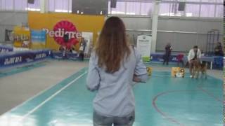 MVI 0974