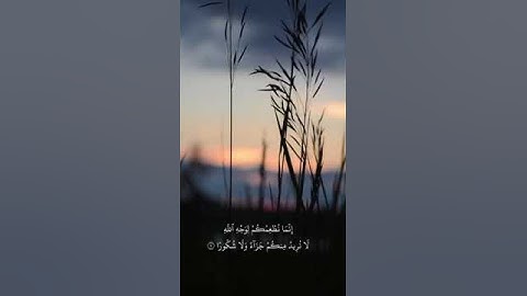 #سورة الانسان (عَيْنًا يَشْرَبُ بِهَا عِبَادُ اللَّهِ يُفَجِّرُونَهَا تَفْجِيرًا)#أكتب_شي_توجر_عليه