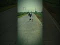 sidhu moosewala #punjabisong #music #newmusic #automobile #motivation #teambackflip #musicgenre